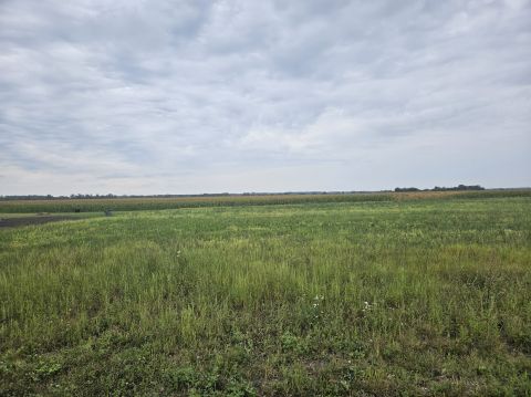 Eladó Telek 9174 Dunaszeg , Kodály Zoltán utca
