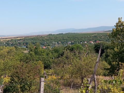 Eladó Telek 2091 Etyek 