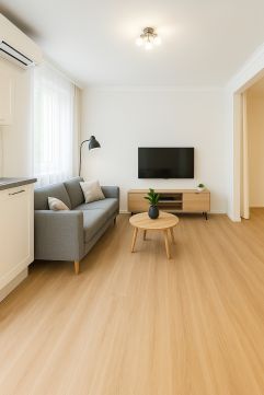 Eladó Lakás 1089 Budapest 8. kerület , 2 szobás újszerű ház, tetőterasszal