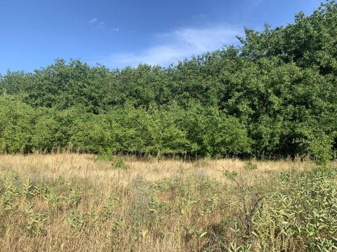 Eladó Telek 8380 Hévíz , 8380 Hévíz, Központ