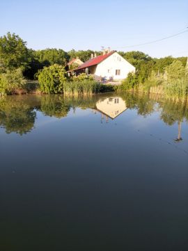 Eladó Ház 6756 Tiszasziget 