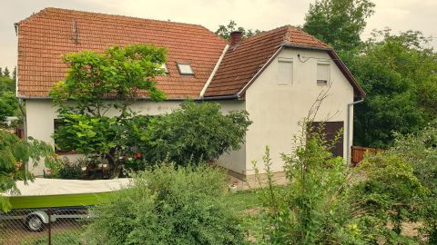 Eladó Ház 5630 Békés Zöldövezetben, kultúrált utcában.