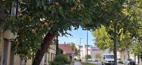 Eladó Lakás 7622 Pécs , Belvárosi ÁRKÁD közeli galériázható garzon