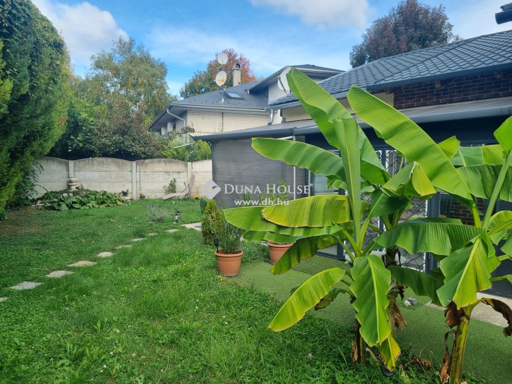 2484 Gárdony , A kikötő közelében. — 1/14