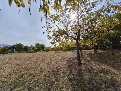 Eladó Lakás 1112 Budapest 11. kerület Negyev