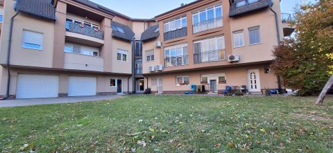 Eladó Lakás 6000 Kecskemét , VACSIKÖZBEN KERTKAPCSOLATOS, AZONNAL KÖLTÖZHETŐ LAKÁS 