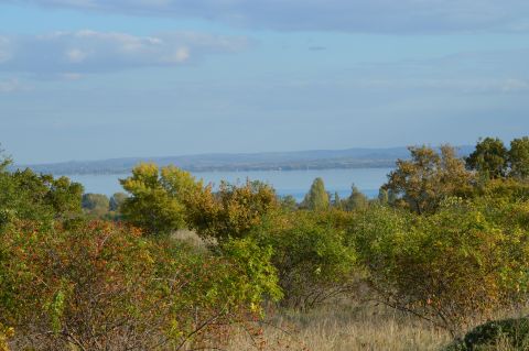 Eladó Telek 8230 Balatonfüred 