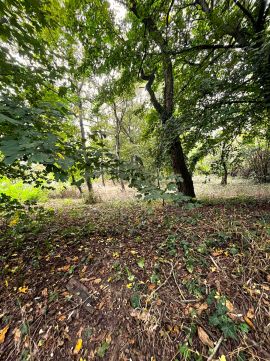 Eladó Telek 2013 Pomáz 