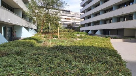 Kiadó Lakás 1097 Budapest 9. kerület 