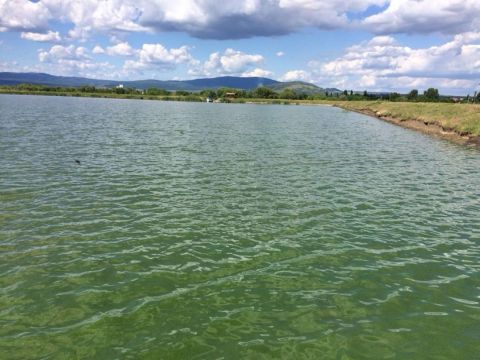 Eladó Mezőgazdasági 3212 Gyöngyöshalász 3212 Gyöngyöshalász Rét út végében