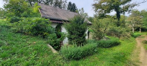 Eladó Ház 7370 Varga 