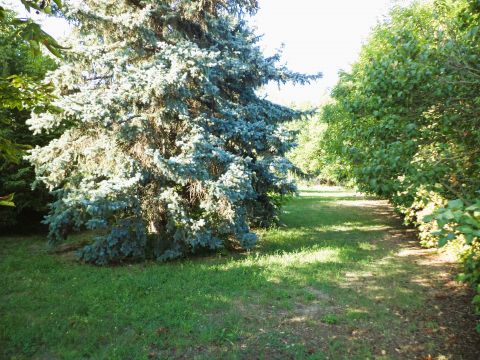 Eladó Ház 2475 Kápolnásnyék Vasútállomás közeli