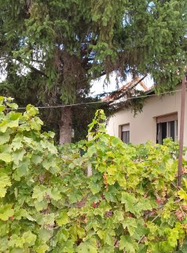 Eladó Ház 2049 Diósd , Petfőfi Sándor utca közelében