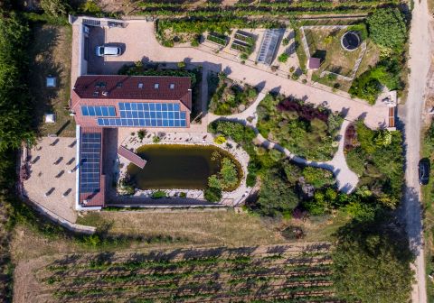 Eladó Ház 7100 Szekszárd Szekszárd