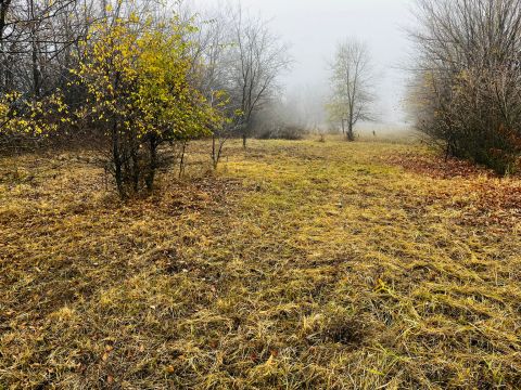 Eladó Telek 2241 Sülysáp 2751 nm-es belterületi telek, csendes, zöldövezeti környezet