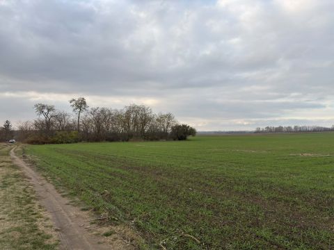 Eladó Mezőgazdasági 5100 Jászberény , Alsómuszaj-on