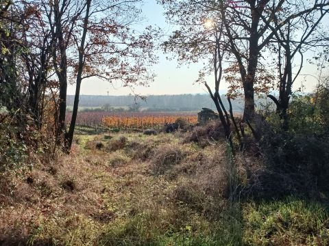 Eladó Ház 8244 Dörgicse 