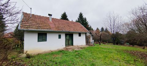 Eladó Ház 8800 Nagykanizsa Liszói hegyen kedves kis pince eladó!