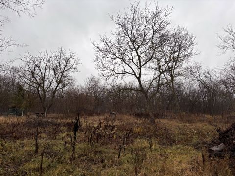 Eladó Telek 2162 Őrbottyán , Csendes utcában építési telek eladó