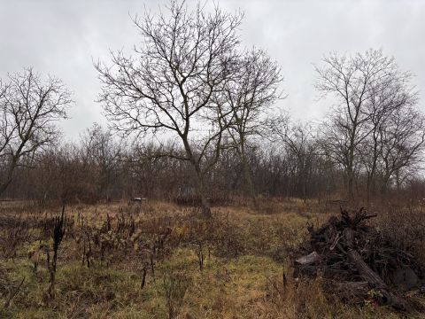 Eladó Telek 2162 Őrbottyán , Csendes utcában építési telek eladó