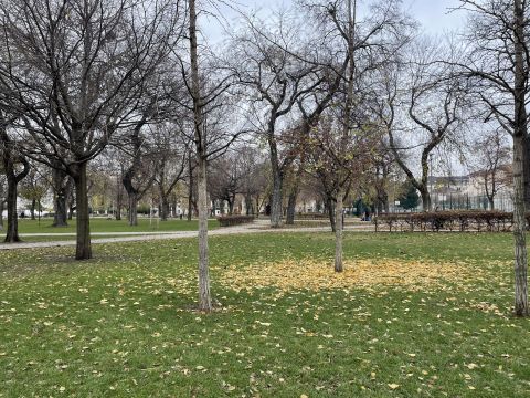 Eladó Üzlethelyiség 1081 Budapest 8. kerület 