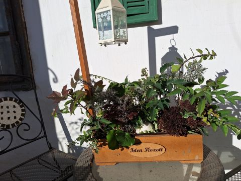 Eladó Ház 8087 Alcsútdoboz 