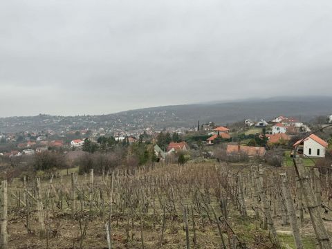 Eladó Telek 7635 Pécs Donátusban eladó panorámás telek! 