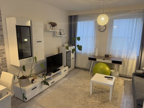 Kiadó Lakás 7621 Pécs 