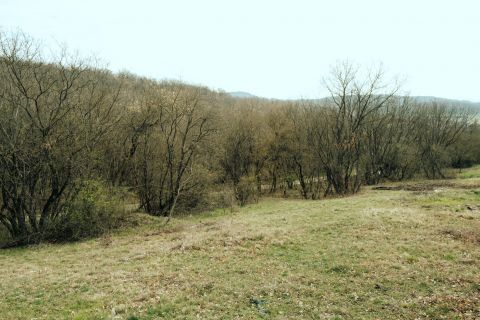 Eladó Telek 8233 Balatonszőlős 