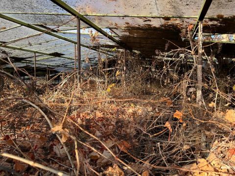 Eladó Telek 1171 Budapest 17. kerület 1171 Budapest 17, Rákoscsaba