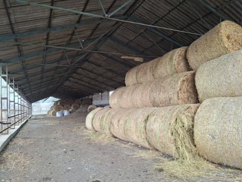 Eladó Mezőgazdasági 6635 Szegvár , Szegvár központ