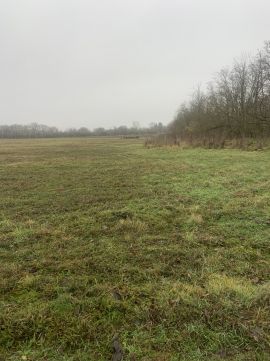 Eladó Mezőgazdasági 8637 Balatonőszöd 