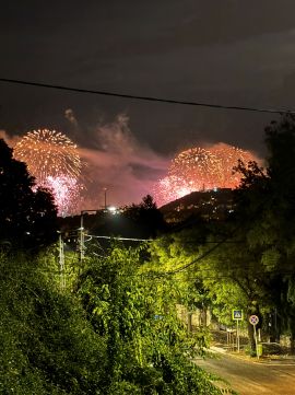 Eladó Lakás 1126 Budapest 12. kerület , Egyiptomi nagykövetség mellett Istenhegyi úton