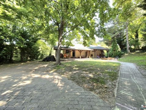 Eladó Ház 2089 Telki , Csendes utcában