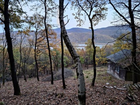 Eladó Telek 2626 Nagymaros , Dunakanyarra panorámás telek "gazdasági épülettel" eladó