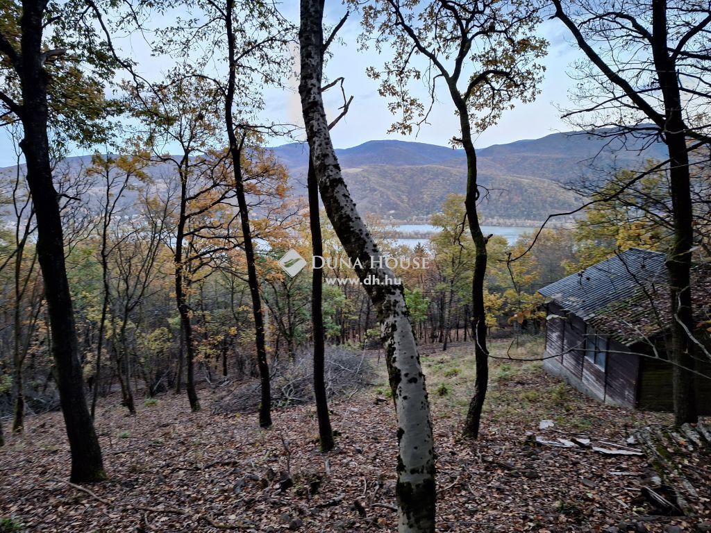 2626 Nagymaros , Dunakanyarra panorámás telek "gazdasági épülettel" eladó — 1/4