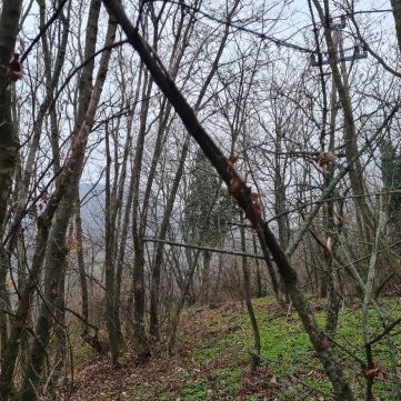 Eladó Telek 8300 Raposka , 8300 Tapolca, zártkert