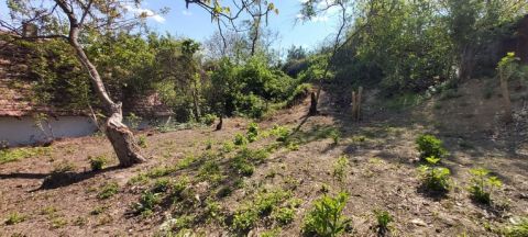 Eladó Telek 2027 Dömös 