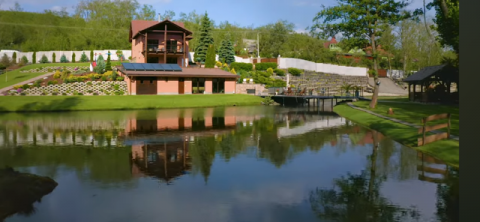 Eladó Ház 2182 Domony , Domonyvölgyben Prémium üdülőház eladó