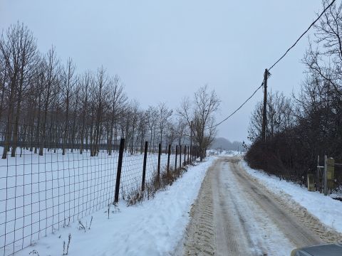 Eladó Telek 2060 Bicske 