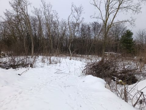 Eladó Telek 2100 Gödöllő , Gödöllő Csonkás köz környéke