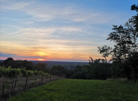 Eladó Telek 8994 Kávás 