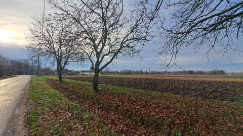 Eladó Telek 7843 Kémes 