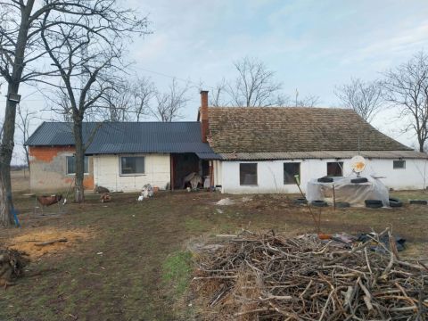 Eladó Mezőgazdasági 6800 Hódmezővásárhely A Kék-tóhoz közel