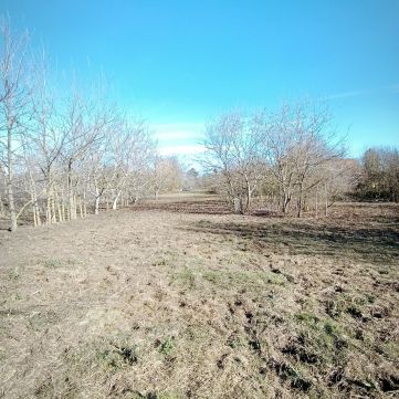 Eladó Telek 6800 Hódmezővásárhely Öreg-Kishomok