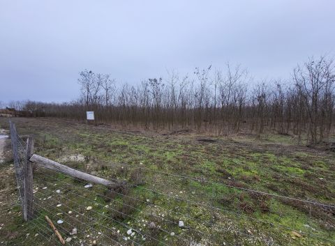 Eladó Telek 2373 Dabas , Dabas csendes, városszéli aszfaltozott utcája