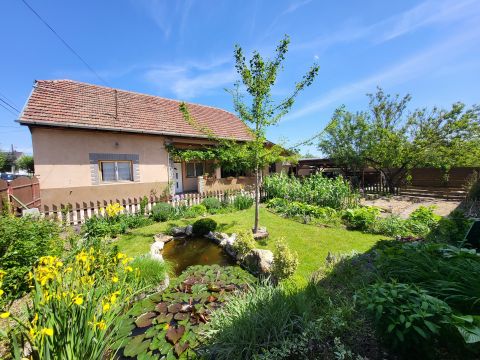 Eladó Ház 2220 Vecsés 