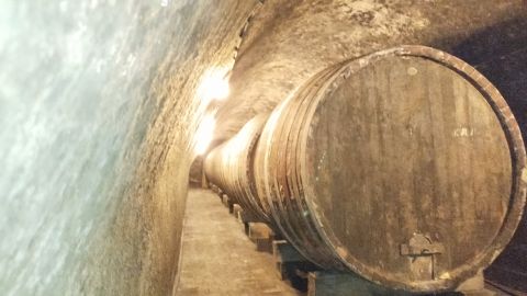 Eladó Mezőgazdasági 3324 Felsőtárkány , Berva iparterület