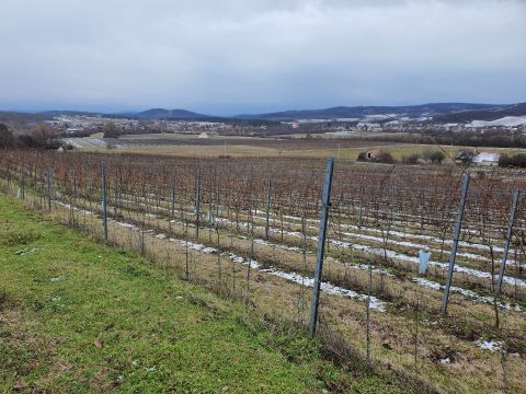 Eladó Telek 8245 Vászoly 