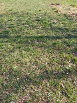 Eladó Ipari 8092 Pátka 